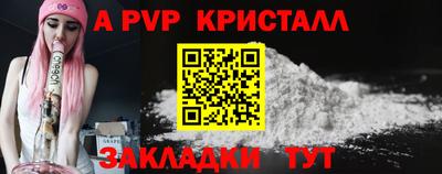 spice Кингисепп