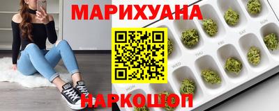 spice Кингисепп