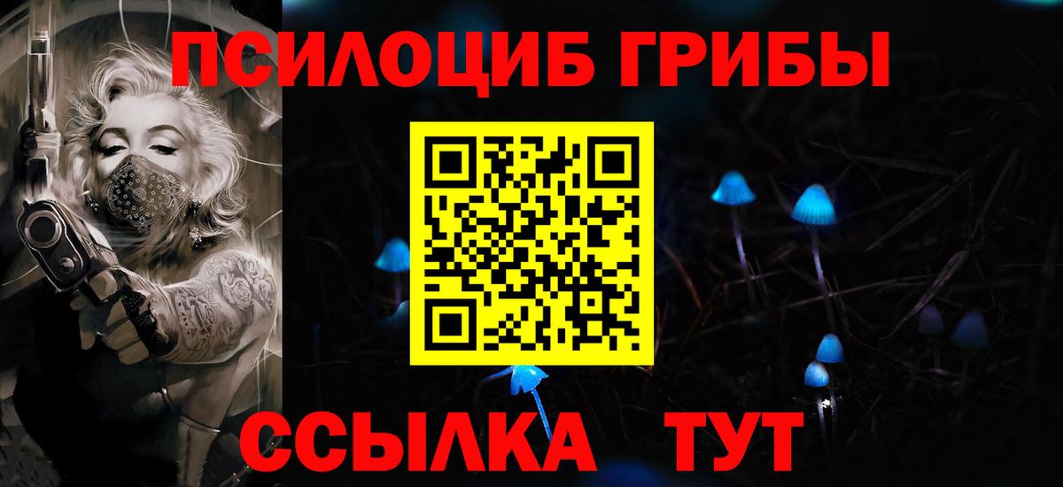 Псилоцибиновые грибы GOLDEN TEACHER  Вход с VPN  наркота  Камышлов 
