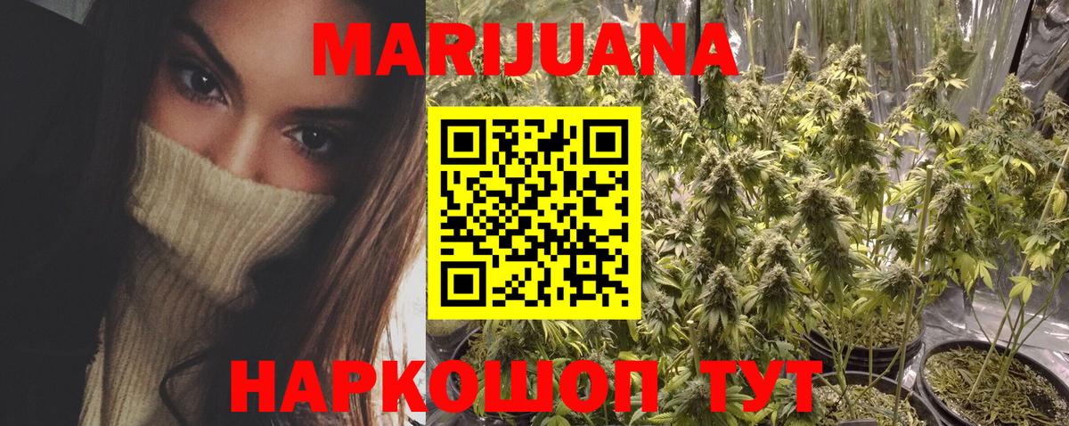Камышлов  Конопля SATIVA & INDICA  Шишки марихуана планчик  Вход с VPN  Канабис гибрид 